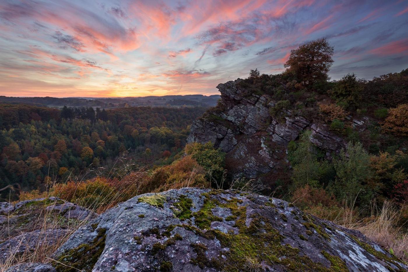 Coeur De Falaise, Normandie Suisse Normande Falaise  Zewnętrze zdjęcie